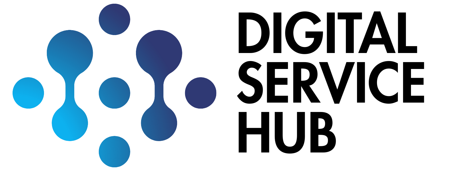 DIGITAL SERVICE HUB Logo