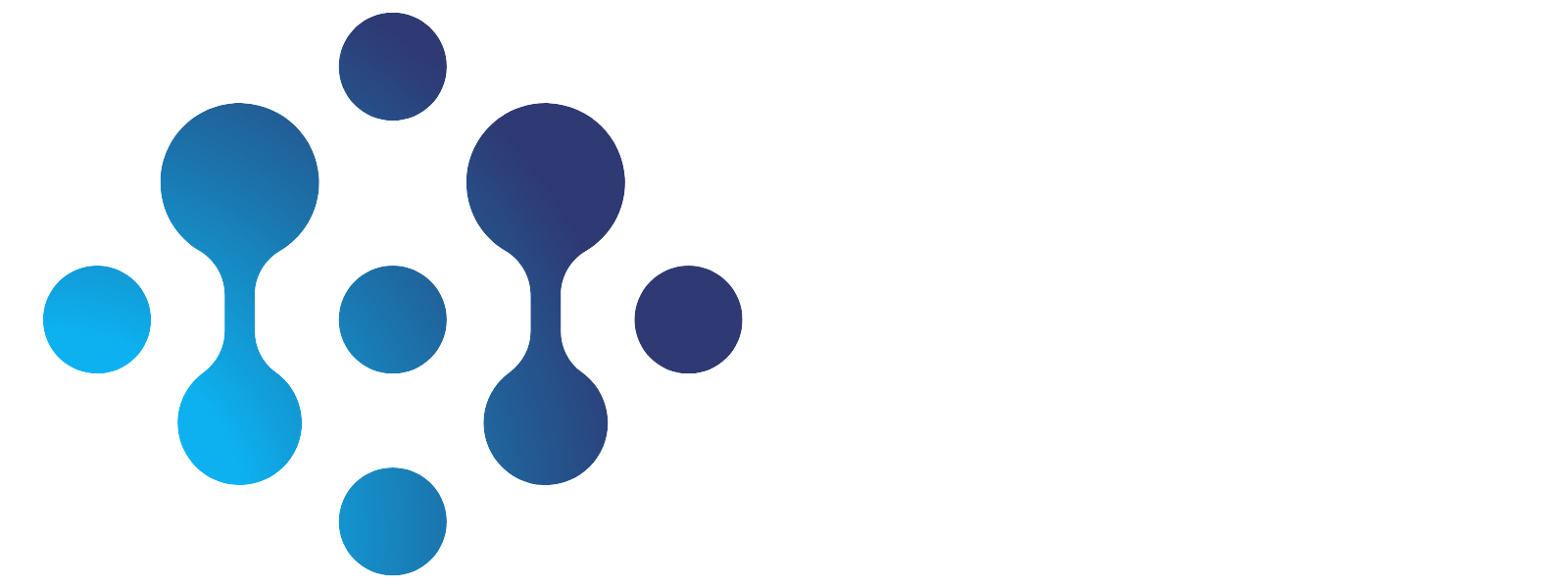 DIGITAL SERVICE HUB Logo